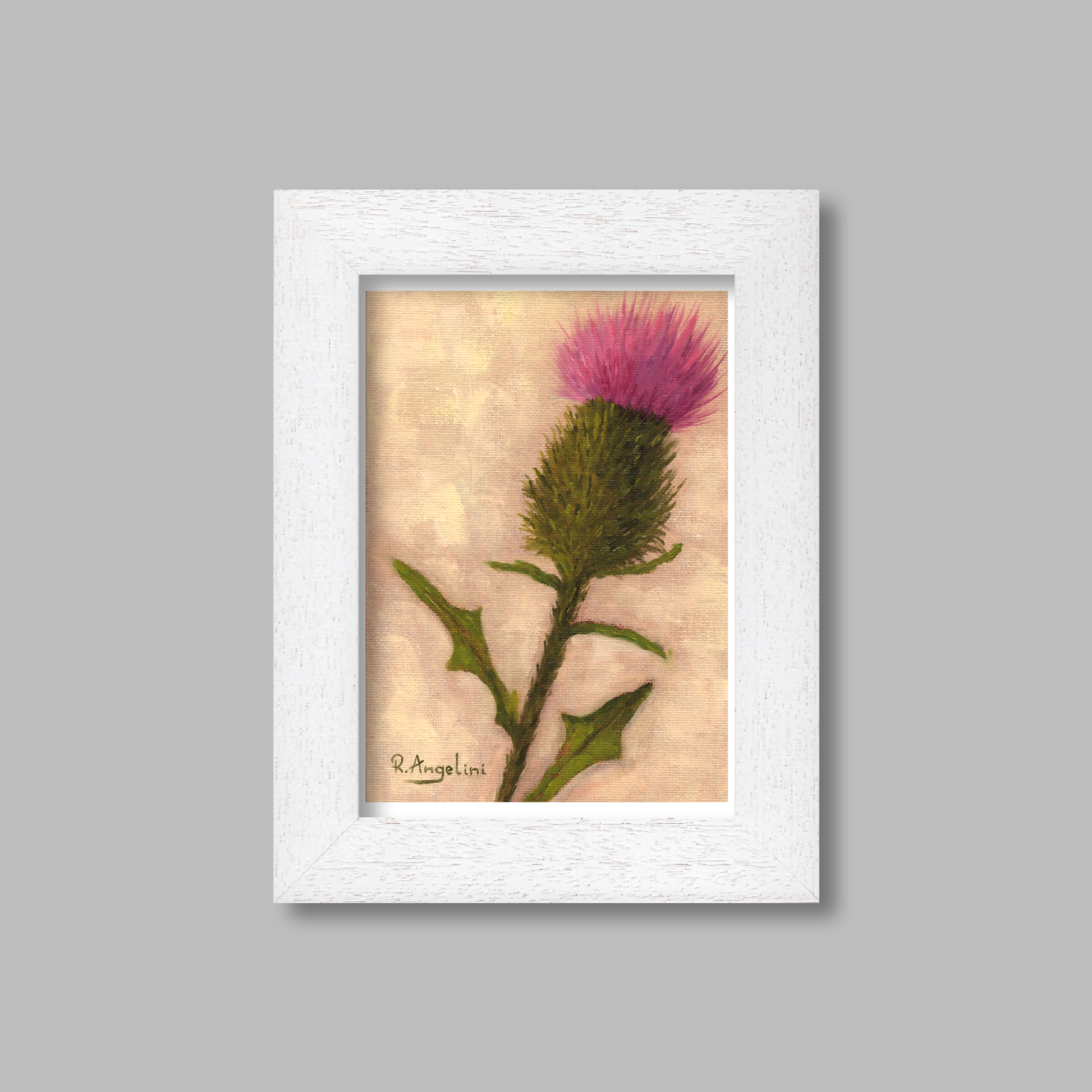 White Framed Scottish Thistle Giclee Art Print