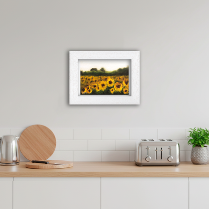 White Framed Sunflower Field Giclee Art Print in Kitchen